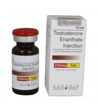 Genesis - Testostérone enanthate 250mg/ml