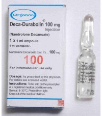 Organon Deca Durabolin